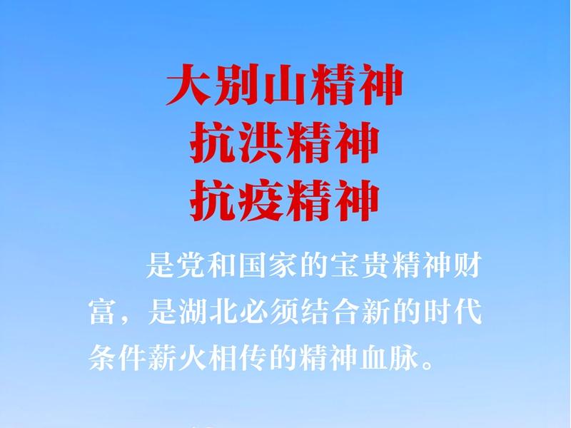 <a href="./xwzx/gzdt/202506/t20250603_706925.html">大力弘扬大别山精神、抗洪精神、抗疫精神，广泛践行社会主义核心价值观</a>
