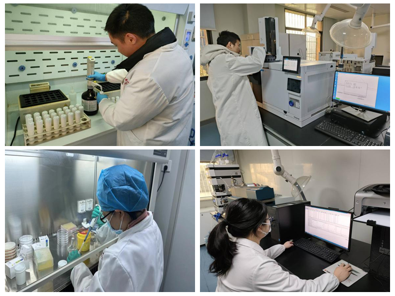 <a href="./xwzx/gzdt/202602/t20260209_750319.html">技术筑基 质安护航 赋能发展——鄂州市公共检验检测中心“十四五”发展成就巡礼（一）</a>